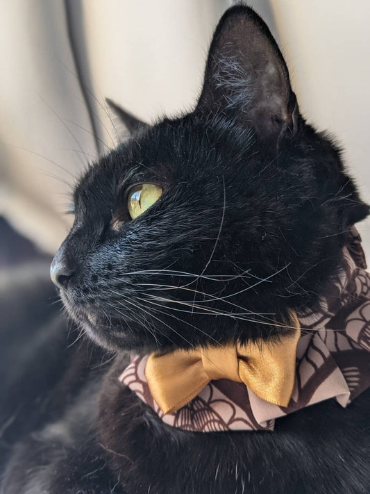 Fancy and Elegant Cat Collar Accessory